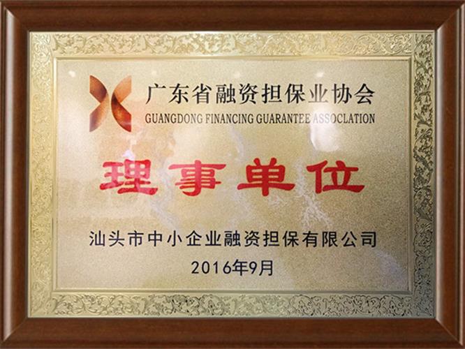 广东省融资担保业协会-理事单位