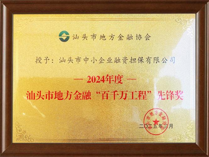 2024年度汕头市地方金融“百千万工程”先锋奖