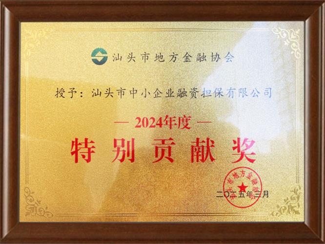2024年度汕头市地方金融协会特别贡献奖